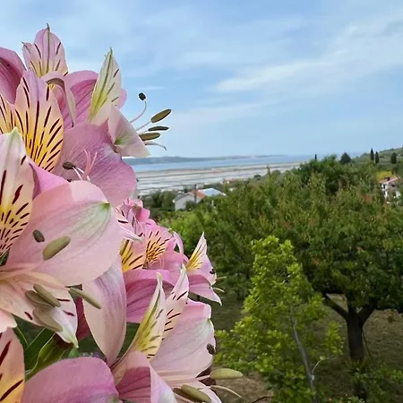 Apartment Salt View Lucija
