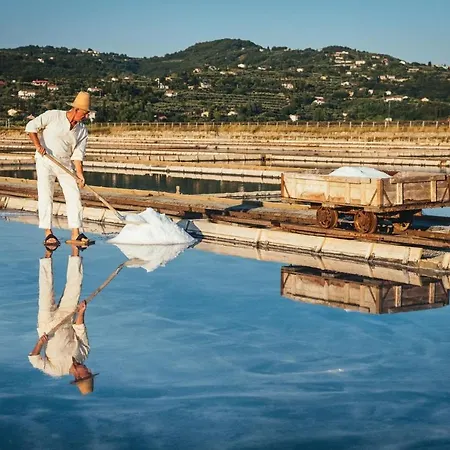 Salt View