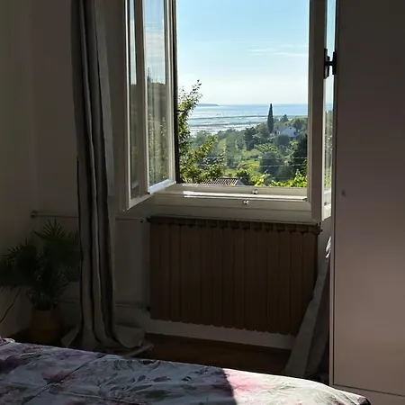 Salt View